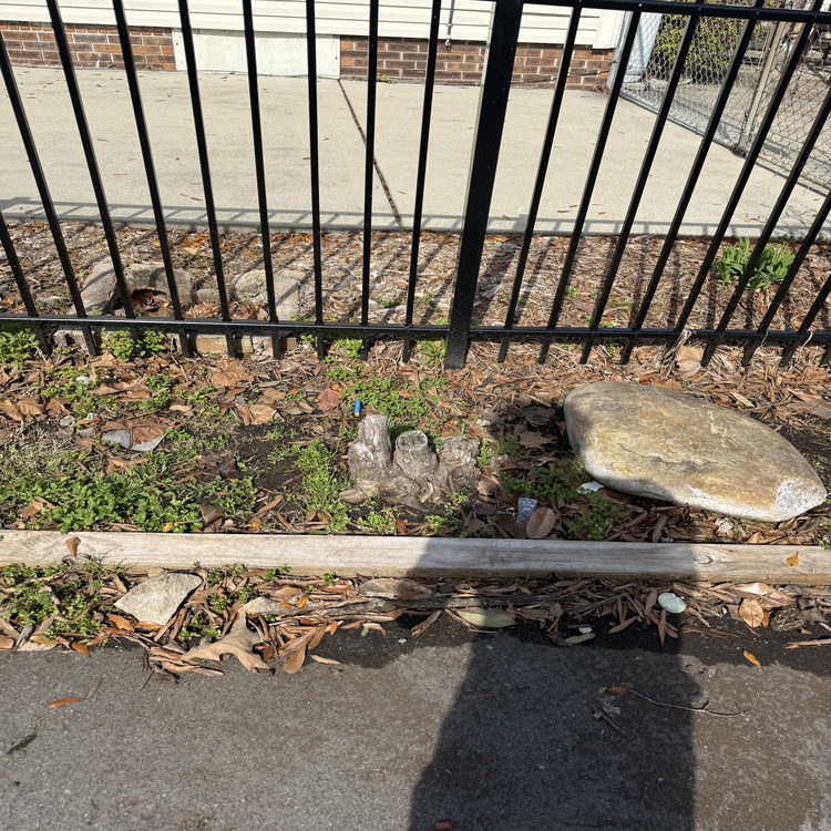 Landscaping in Conway, SC